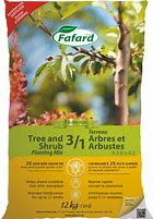 terre 3/1 arbres et arbustes