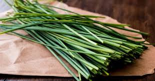plant de ciboulette