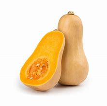 plant de courge butternutt