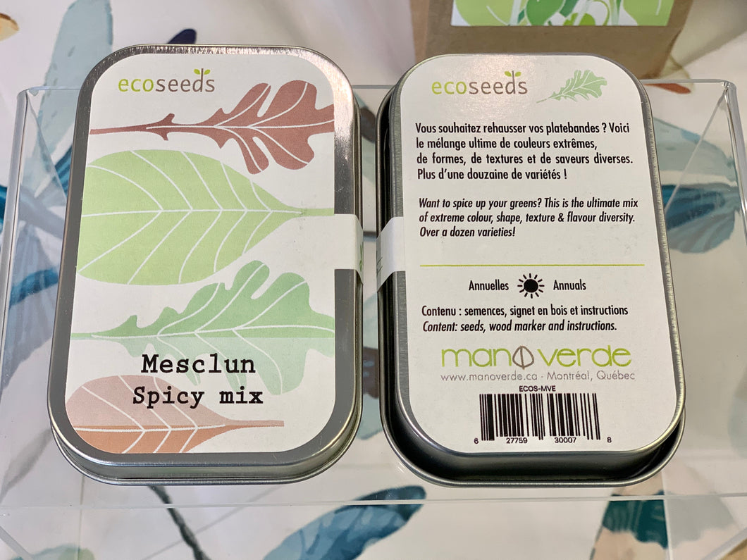 Semences de laitue mesclun