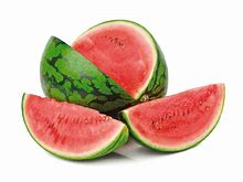 plant de melon d'eau