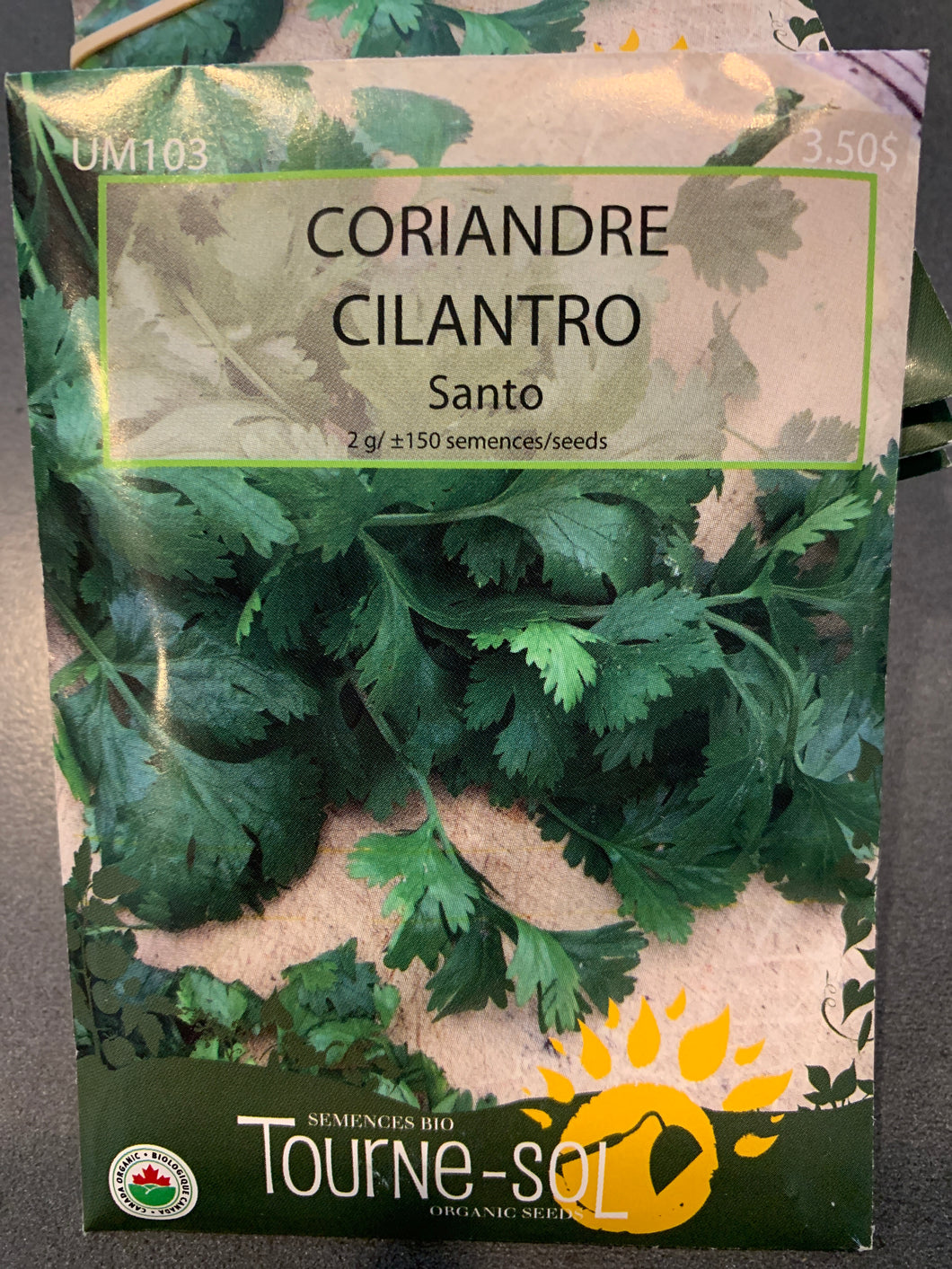Semences bio coriandre