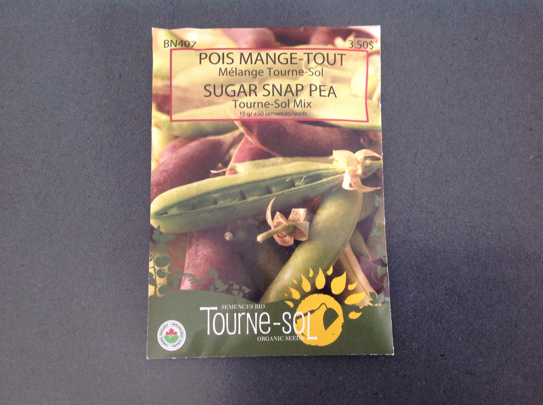 semence bio pois mange tout