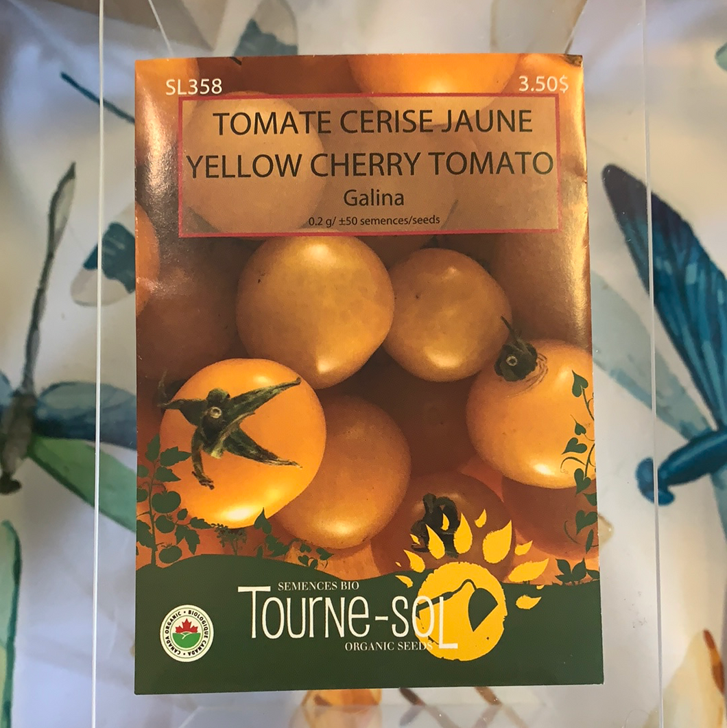 Semences bio tomate cerise jaune