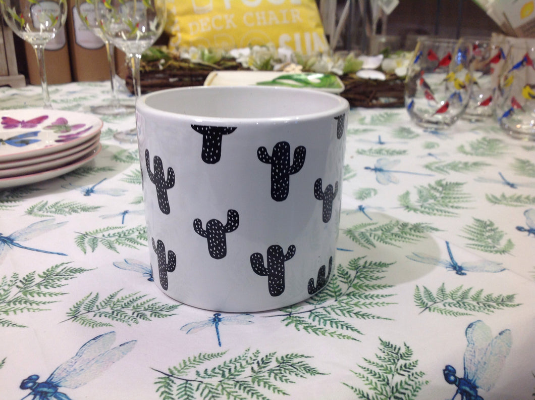 pot cactus 5 pouces