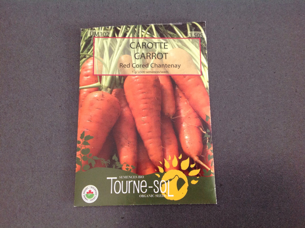 semence bio carotte chatenay