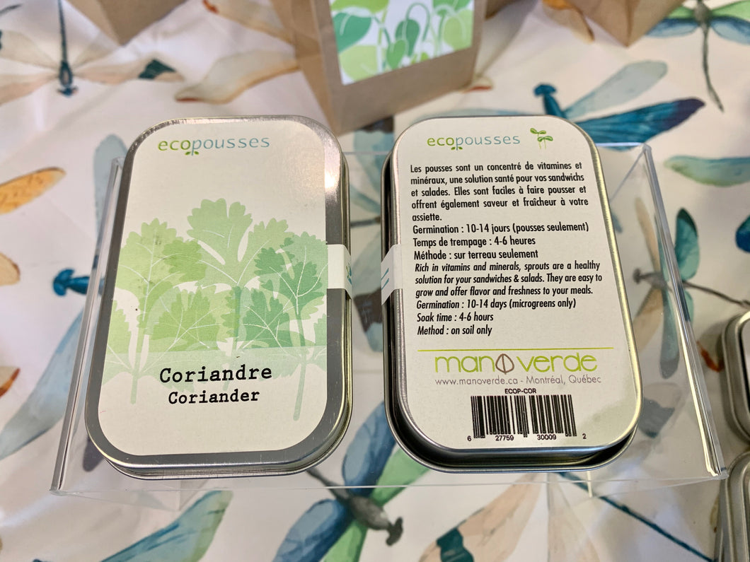 Semences de coriandre