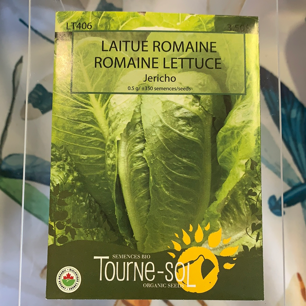 semence bio laitue romaine