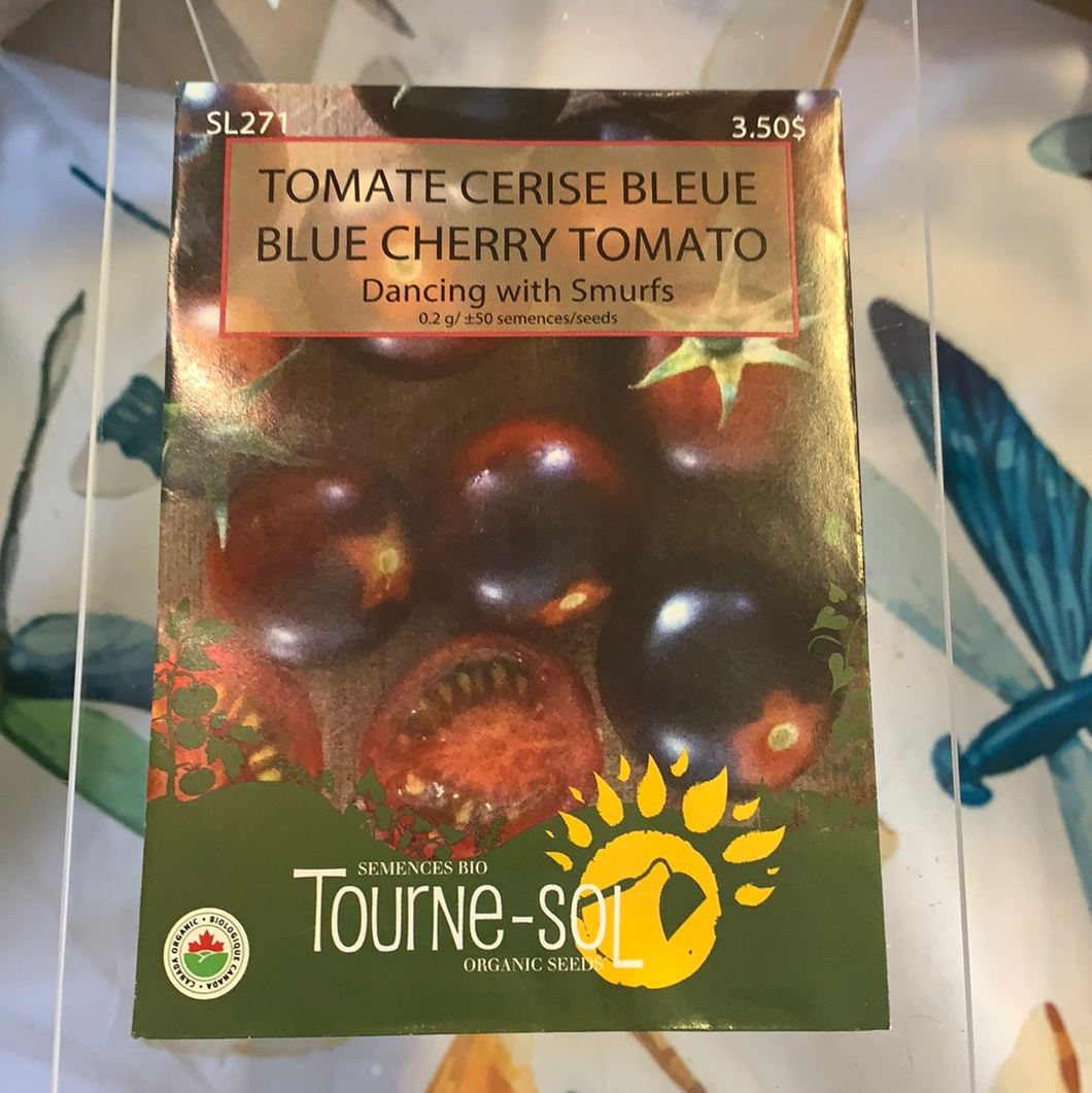 semence bio tomate cerise bleue