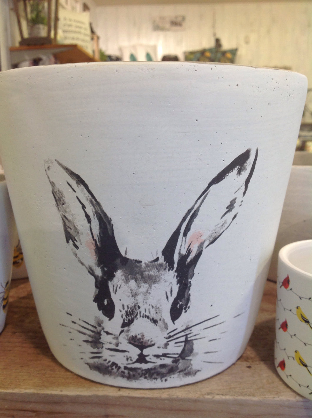 pot lapin 3 pouces