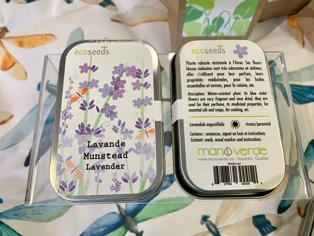 Semences de lavande