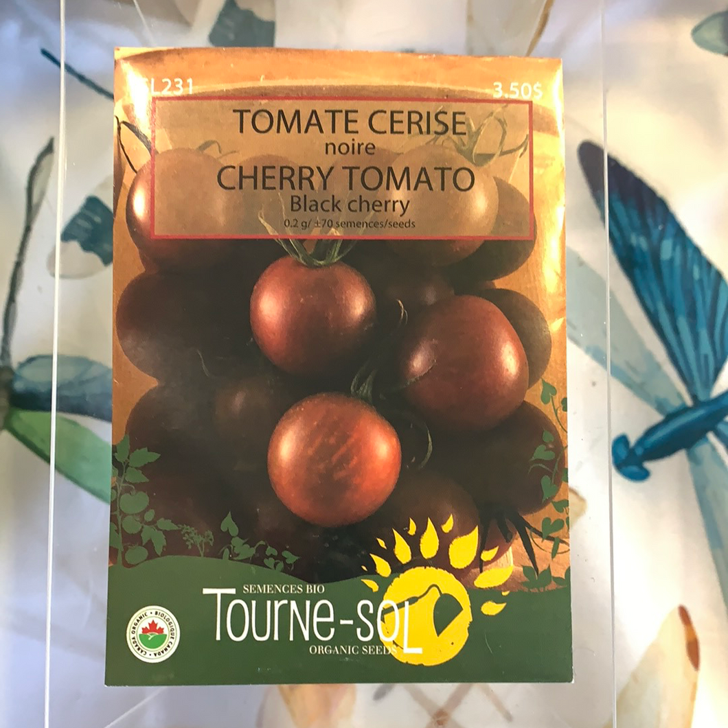 semence bio tomate cerise noire