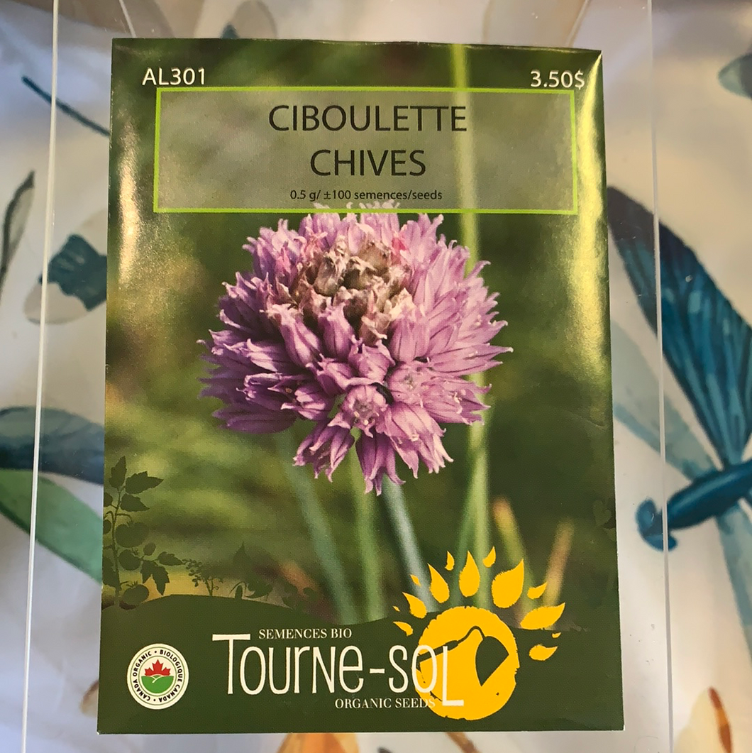 semence bio ciboulette