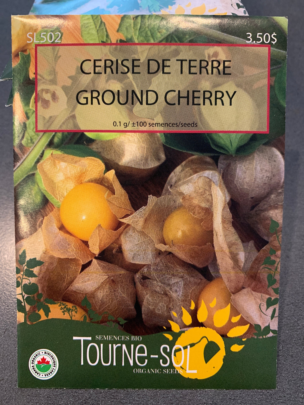 Semences bio cerise de terre