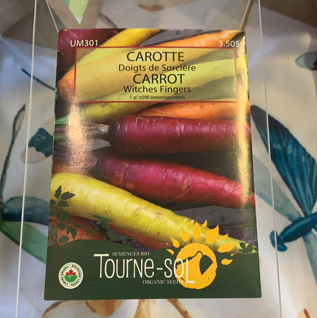 Semences bio carotte mix couleur