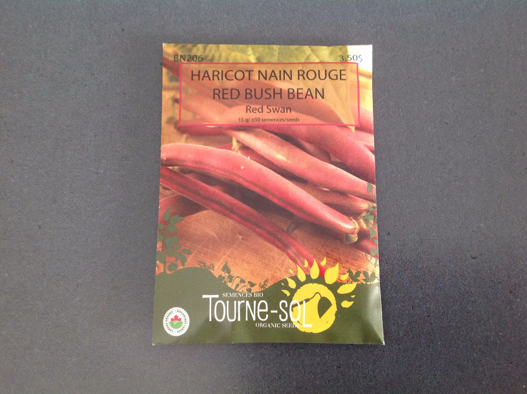 semence bio haricot nains rouge