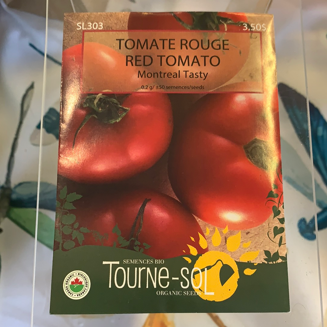 Semences bio tomate rouge Montréal Tasty