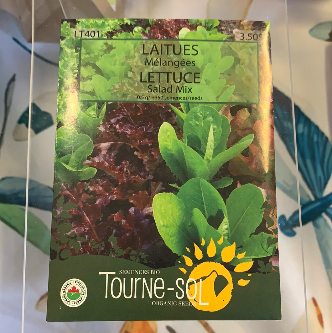 semence bio laitue mélange