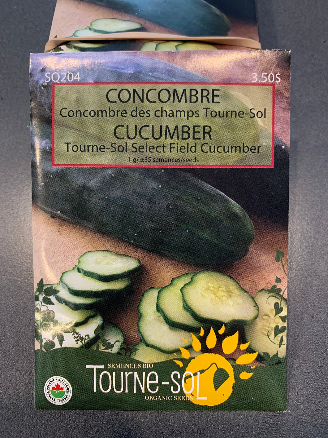 Semences bio concombre de champ