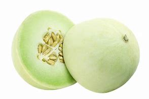 plant de melon miel
