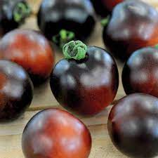 plant de tomate indigo cherry drop pot de 1 gallon