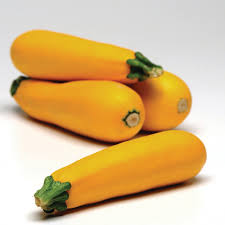 plant de zucchini jaune